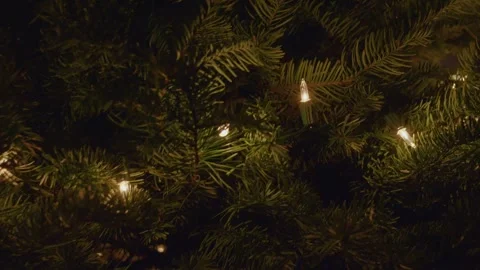 Close-Up of Christmas Lights Twinkling on Tree Branches Stock Footage 311914100