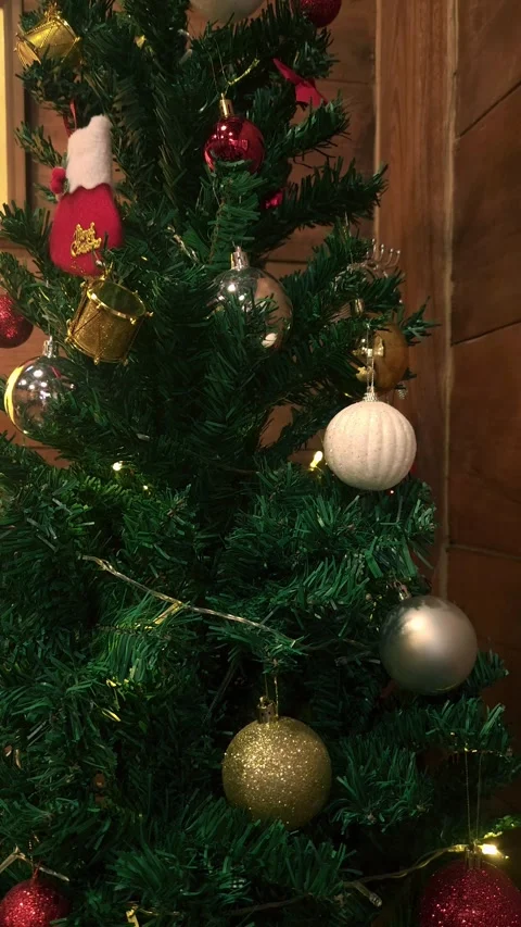 Close up of Christmas ornament on tree vertical sty;e Stock Footage 296174972