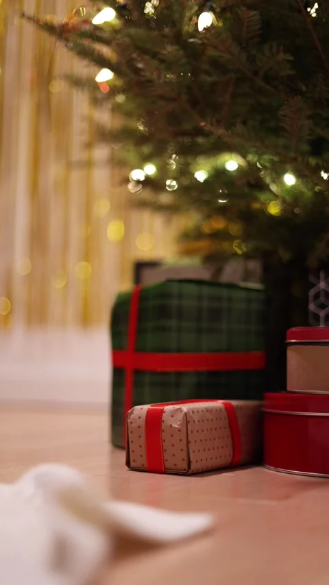 Close Up Of A Christmas Presents Under Decorated Tree With Warm Lights Stock Footage 313703839