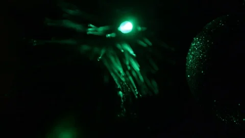 Close up of Christmas tree with blinking garland Stock Footage 71009937
