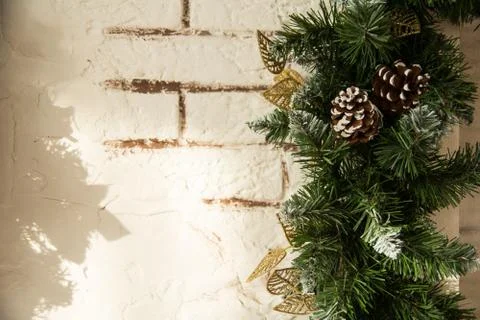 Close up of the Christmas tree branches with cones on a background of a brick wa Stock Photos