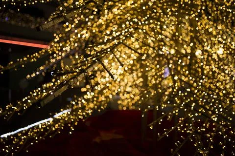 Close-up of Christmas tree branches wrapped in tiny golden lights Stock Photos