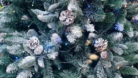 Close up christmas tree decoration with pine flowers and man walk through Stock Footage 119309674