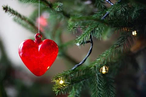 Close up of christmas tree decoration in the shape of heart. Stock Photos