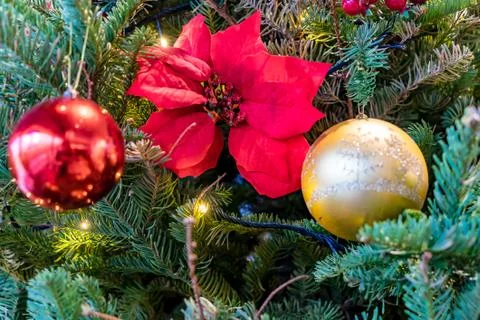 Close up of Christmas tree decorations Stock Photos