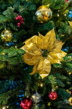 Close up of Christmas tree decorations Stock Photos
