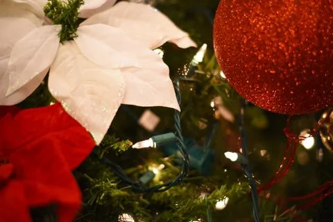 Close up of Christmas tree decorations. Stock Photos
