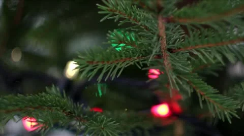 Close-up of christmas tree Stock Footage 19206520
