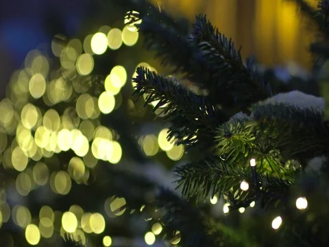 Close up on christmas tree Stock Footage 70385815