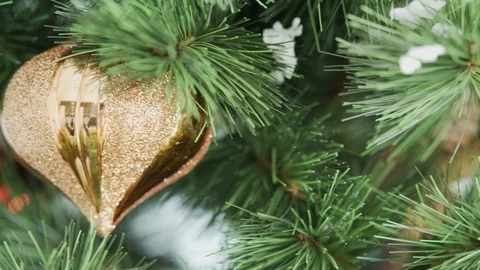 Close-up of Christmas tree Stock Footage 114152380