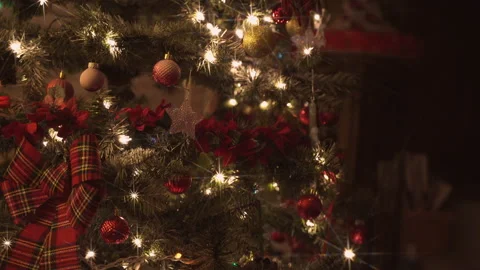 Close Up of a Christmas Tree Stock Footage 221213082
