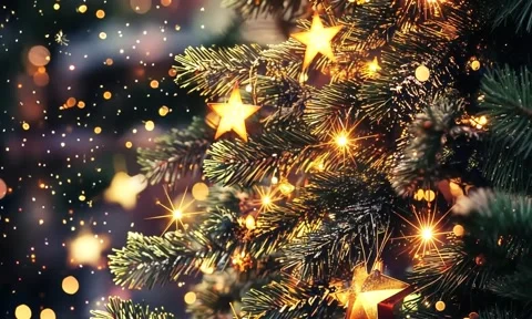 Close up on Christmas tree with light Stock Footage 292236587