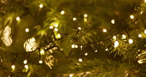 Close-Up of Christmas Tree Lights and Ornaments Video stock 329531446