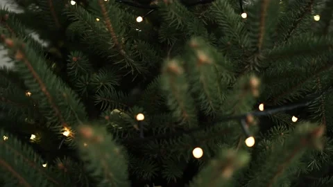 Close-up of christmas tree lights. Stock Footage 168742642