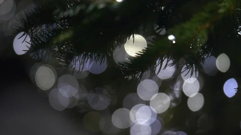 Close up a Christmas tree lights glittering out-of-focus background. Stock Footage 100649309