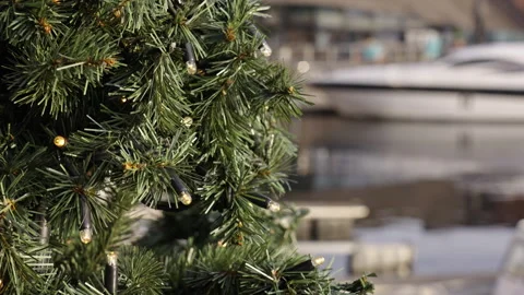 Close-up of a Christmas tree with lights at a harbour. Version 5 Stock Footage 293070423