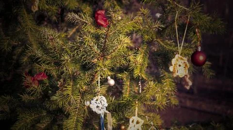 Close-up of A Christmas Tree, Outside Stock Photos