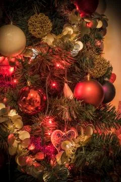 A Close-up of a Christmas Tree Stock Photos