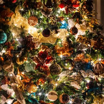 A close up of a Christmas tree Stock Photos