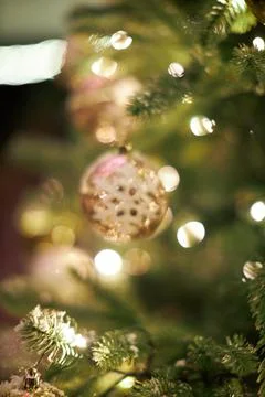 A close up of a christmas tree Stock Photos