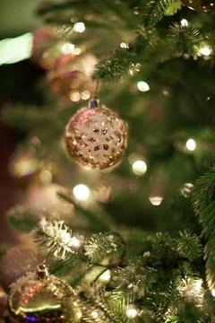 A close up of a christmas tree Stock Photos
