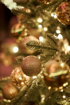 A close up of a christmas tree Stock Photos
