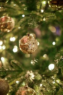 A close up of a christmas tree Stock Photos