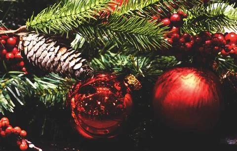 Close Up Christmas Tree Stock Photos