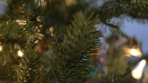 Close up christmas tree pine needles lights 動画素材 121073147