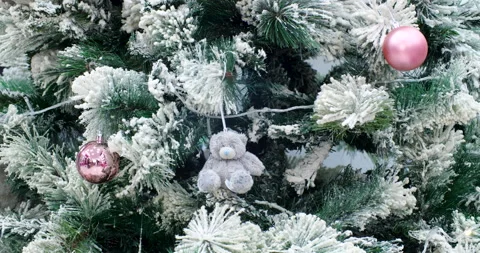 Close-up of Christmas tree with snow on its branches Stock Footage 255024745
