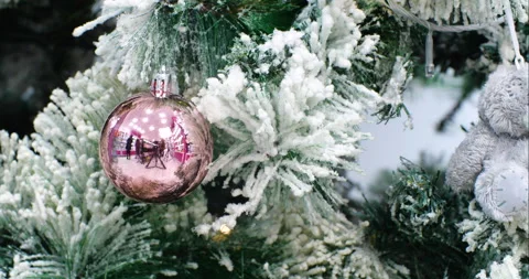 Close-up of Christmas tree with snow on its branches Vidéo 255315993