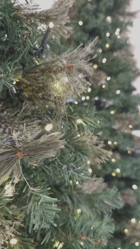 Close-Up of Christmas Tree With Warm Lights 스톡 동영상 323275212