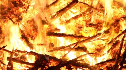 Close up of Christmas trees burning Stock Footage 122307667