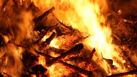 Close up of Christmas trees up in flames Stock Footage 122306575