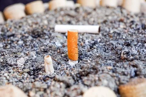 Close-up Cigarette butts on the floor, Stock Photos
