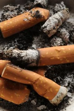 Close up of cigarettes in the ashtray Stock Photos