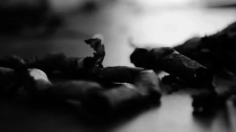 Close up ciggarette butts Stock Footage 34536228