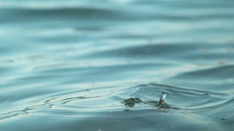 CLOSE UP: Cinematic shot of tiny drops of water creating ripples in the calm sea Stock Footage 150474595