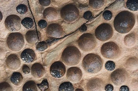 Close up of circled pattern formed by clams while some tiny beach pebbles o.. Stockfoto's