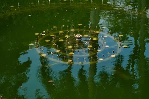Close-up of circular nozzle array in fountain pool Fotos de archivo