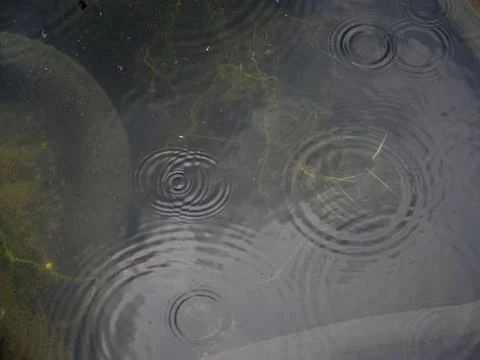 Close-up of the circular patterns made by raindrops on the water surface Stock Photos
