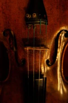 Close-up of Classical Violin Strings and Tailpiece with Warm Ambient Lighting Stock-Fotos