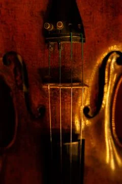 Close-up of Classical Violin Strings and Tailpiece with Warm Ambient Lighting Stock-Fotos