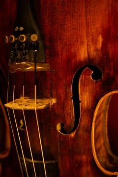 Close-up of Classical Violin Strings and Tailpiece with Warm Ambient Lighting Stock-Fotos