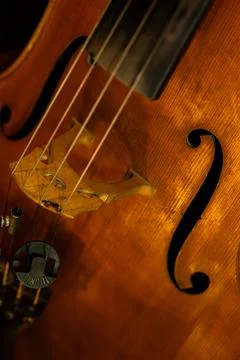 Close-up of Classical Violin Strings and Tailpiece with Warm Ambient Lighting Stock-Fotos