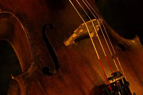Close-up of Classical Violin Strings and Tailpiece with Warm Ambient Lighting Stock-Fotos
