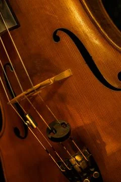 Close-up of Classical Violin Strings and Tailpiece with Warm Ambient Lighting Stock-Fotos