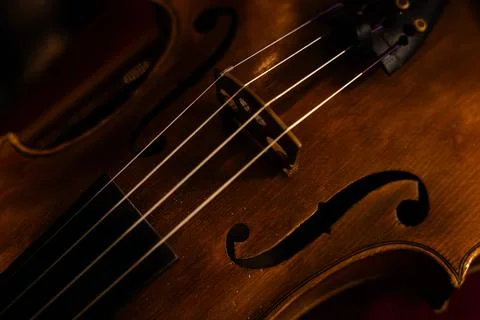 Close-up of Classical Violin Strings and Tailpiece with Warm Ambient Lighting Stock Photos