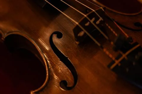 Close-up of Classical Violin Strings and Tailpiece with Warm Ambient Lighting Stock-Fotos