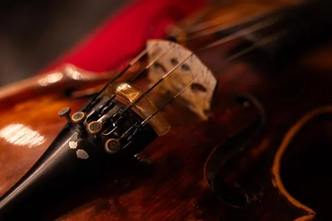 Close-up of Classical Violin Strings and Tailpiece with Warm Ambient Lighting Stock-Fotos